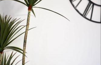 Apartamento Alborada de Llanes - Foto 12