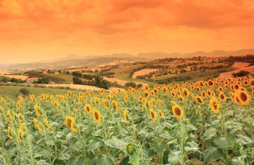 Casa Vacanze Angelica - Foto 29