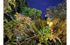 Sítio vilarejo Nascimento - Foto 51