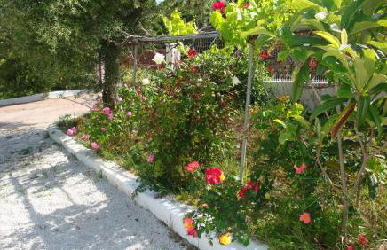 Calamon Apartments - Foto 49