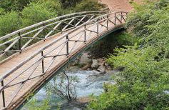 Saluda Alta - Foto 15