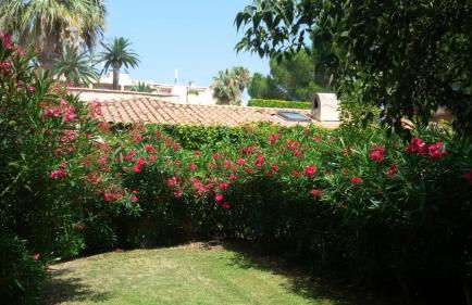 Appartamento vista splendida Residence du Golf - Foto 11