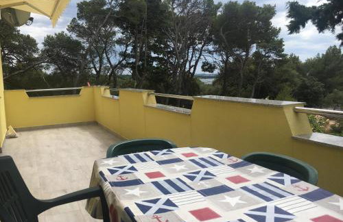 APARTMENT ŽUŽI Otok Silba Hrvatska - Foto 19