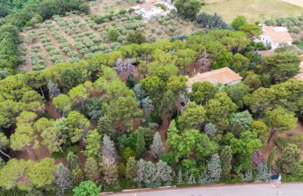 Aurora Holiday House - Foto 14