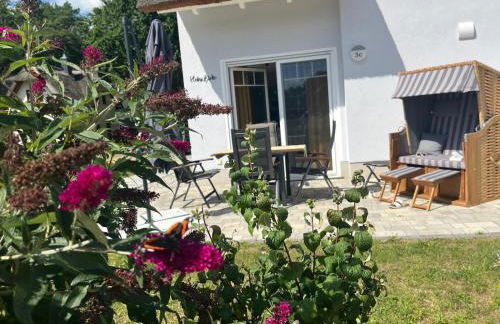 Kleine Birke - Foto 19