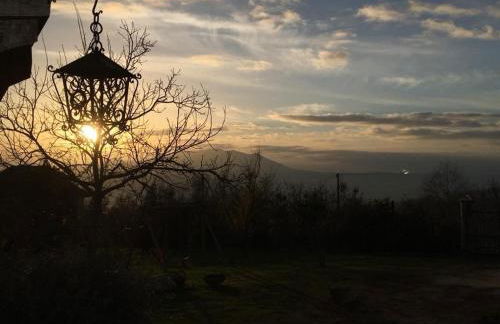 La Collina Degli Ulivi - Foto 20