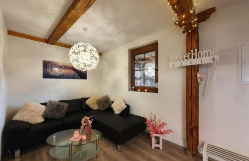 Rennerhof-Siebeneichen Fewo Waschbär - Foto 1