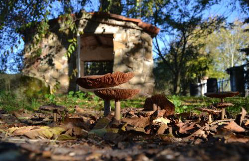 La Casa Rural Cortijo del Zoco Bajo - Foto 73
