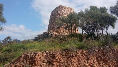 Diongard House - Foto 5