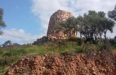 Diongard House - Foto 5