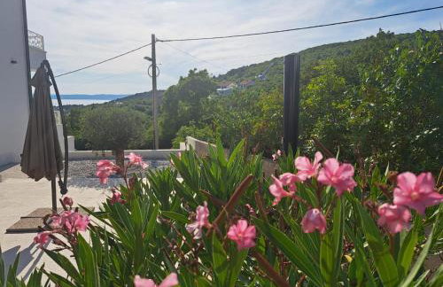 Apartments No26 - Foto 19