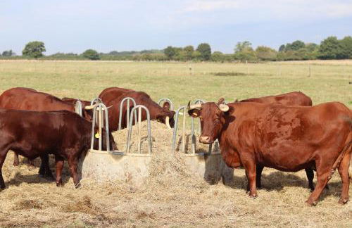 The Anchorage Nables Farm - Foto 38