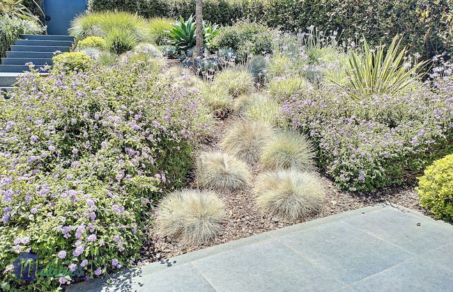 Villa Bonsai - Foto 69