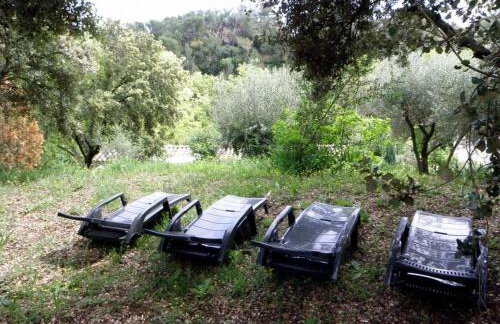 Les bananiers - Foto 27