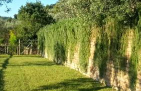 La Cerasa - il Lago fuori - Foto 61