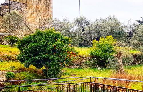 Casa da Massada - Foto 29