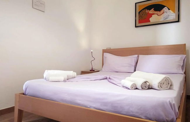 Viola nel Parco - Foto 21