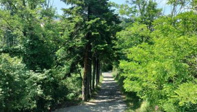 La bergerie d'Annie - Foto 2