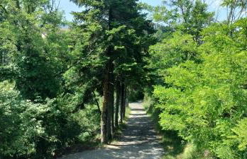 La bergerie d'Annie - Foto 2