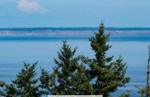 Eagle's Nest Paradise - Foto 34