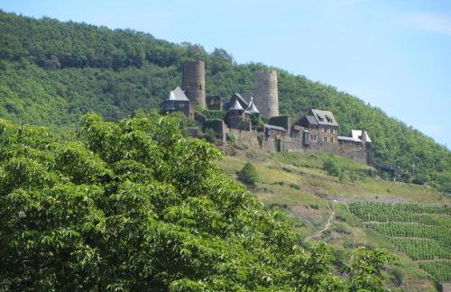 Ferienwohnung Roter Wingert - Foto 22
