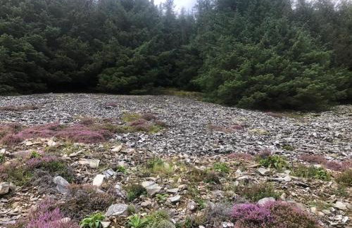 Lategillan Cottage - Photo 25