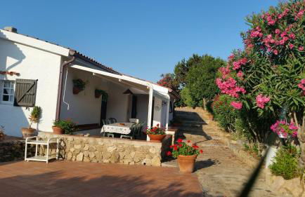 Villa La Liccia Misia - Foto 53