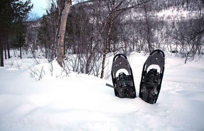 Holiday Village Valle - Photo 15