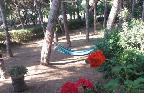 Villa Emma - Foto 52