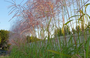 Domki Przy Tężni - Foto 36