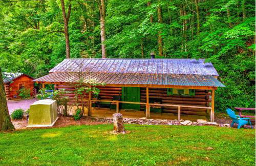 Panther Creek Cabins - Foto 43