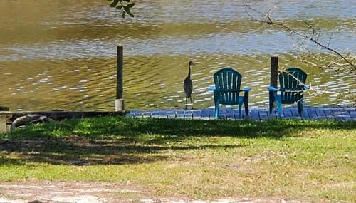 4br Coastal Home I Sleeps 12 I Dock & Firepit - Foto 5