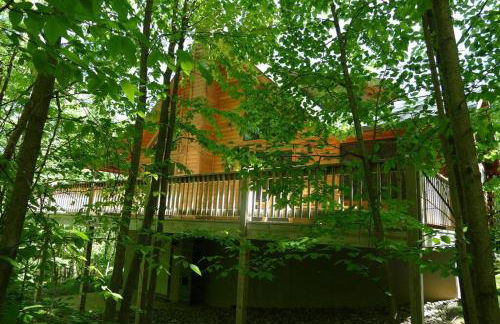 Mountain Maryland! Bear in the Woods - Foto 25