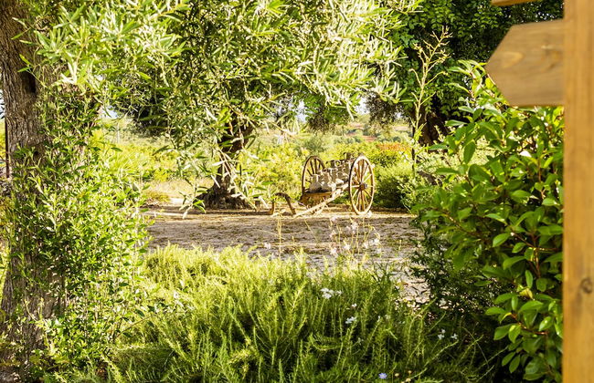 Quinta da Baleeira - Foto 75