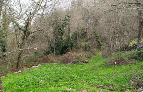 Molino Mellado - Foto 50