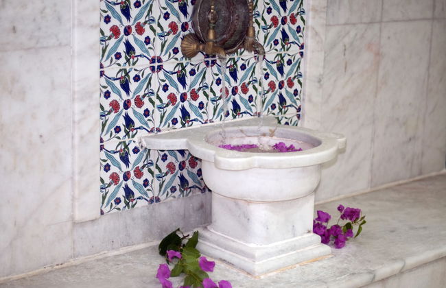 Grand Aquarium - Foto 52