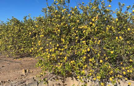 'Nº85' Oasis Beach X - Holiday Apartment - Foto 32