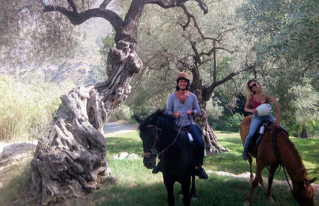 Balade à cheval à travers l'Alpujarra - Photo 4