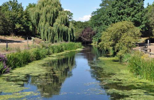 Belt Annexe - Foto 6