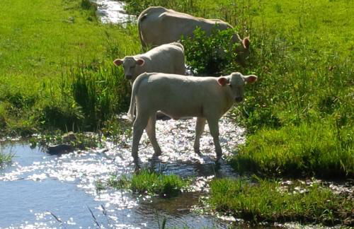 Ferienwohnung Krähling - Foto 29