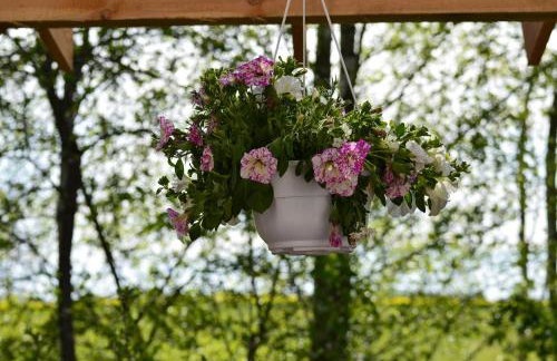 Dom na Warmii -Siedlisko Jabłonka - Foto 20