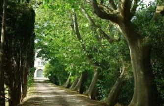 Lodge with private pool surrounded by vineyards - Foto 17