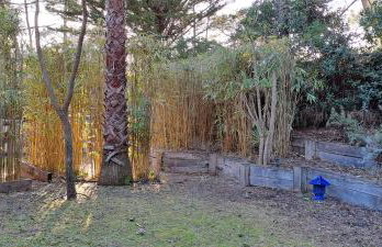 Belle Villa Familiale entre Agapanthes et Bambous - Foto 21