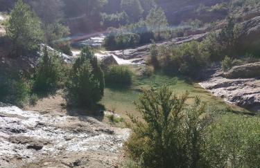 Mas de Manresa - Foto 11