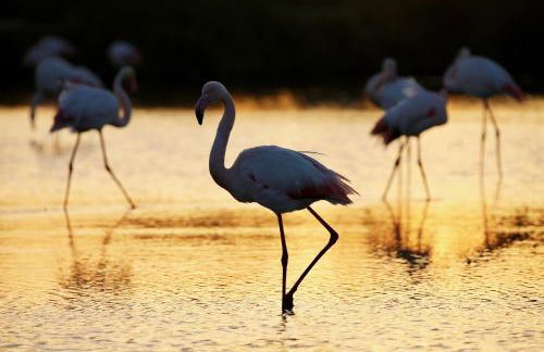Maison au bord de mer - Foto 17