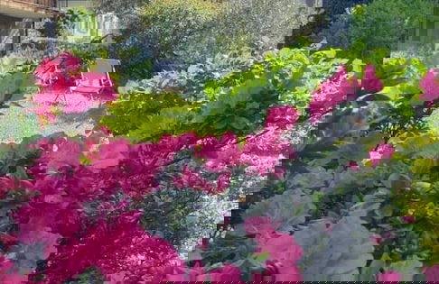 La Turr de Mezz- Bellagio LCA - Foto 37