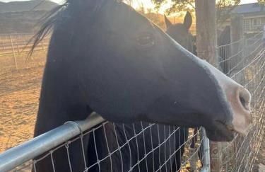 Peaceful & Cozy 3 bedroom Ranch-Home w/Fireplace - Foto 33