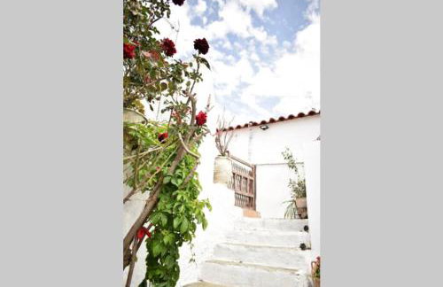 Conchiglia Village House - Foto 38