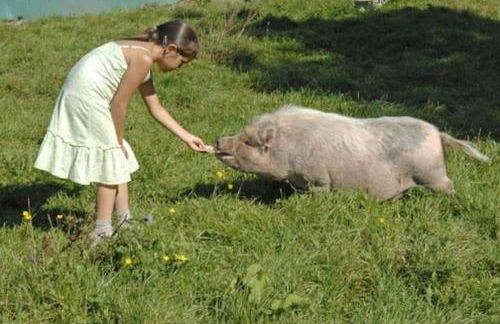 La Maison du Bonheur & Spa - Photo 80