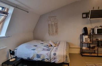 T1 rénové 29 m2 cosy confort ! - Foto 1